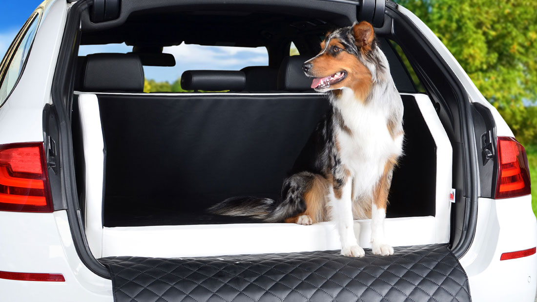 TIERVITAL NATURPRODUKTE - Hunde Autobett Travelmat Plus (MINI)