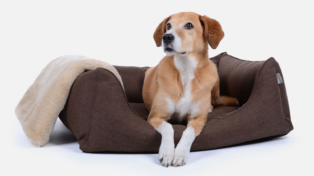 Hundebett World Softline