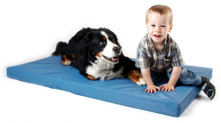 Orthopädische Hundebetten und Hundebehandlungsmatten