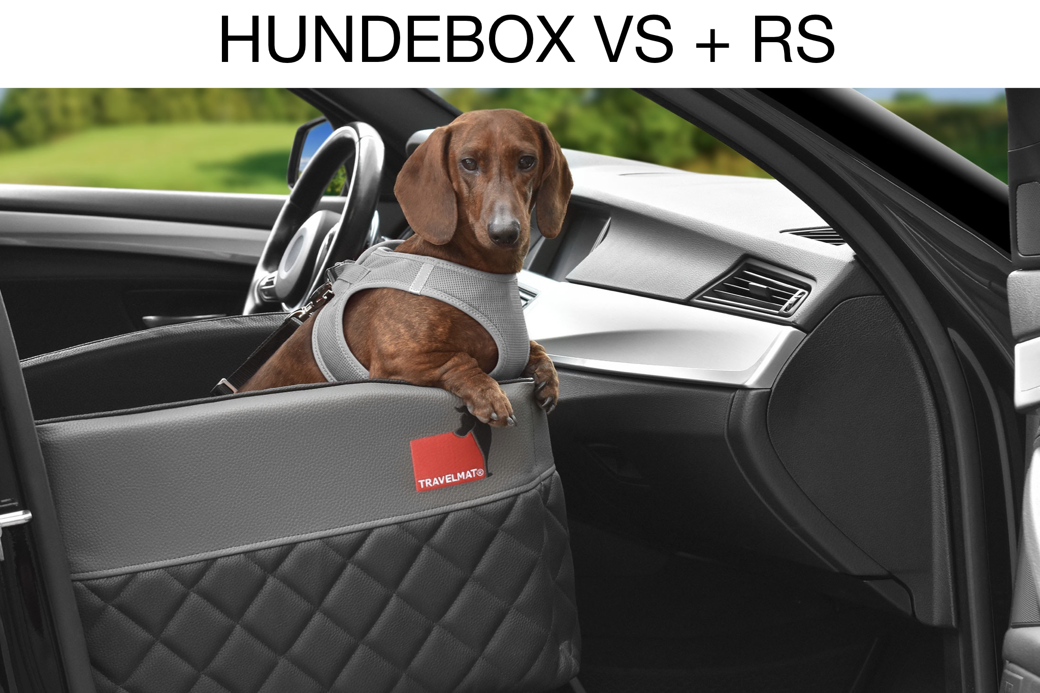 Hundekorb Beifahrersitz Travelmat