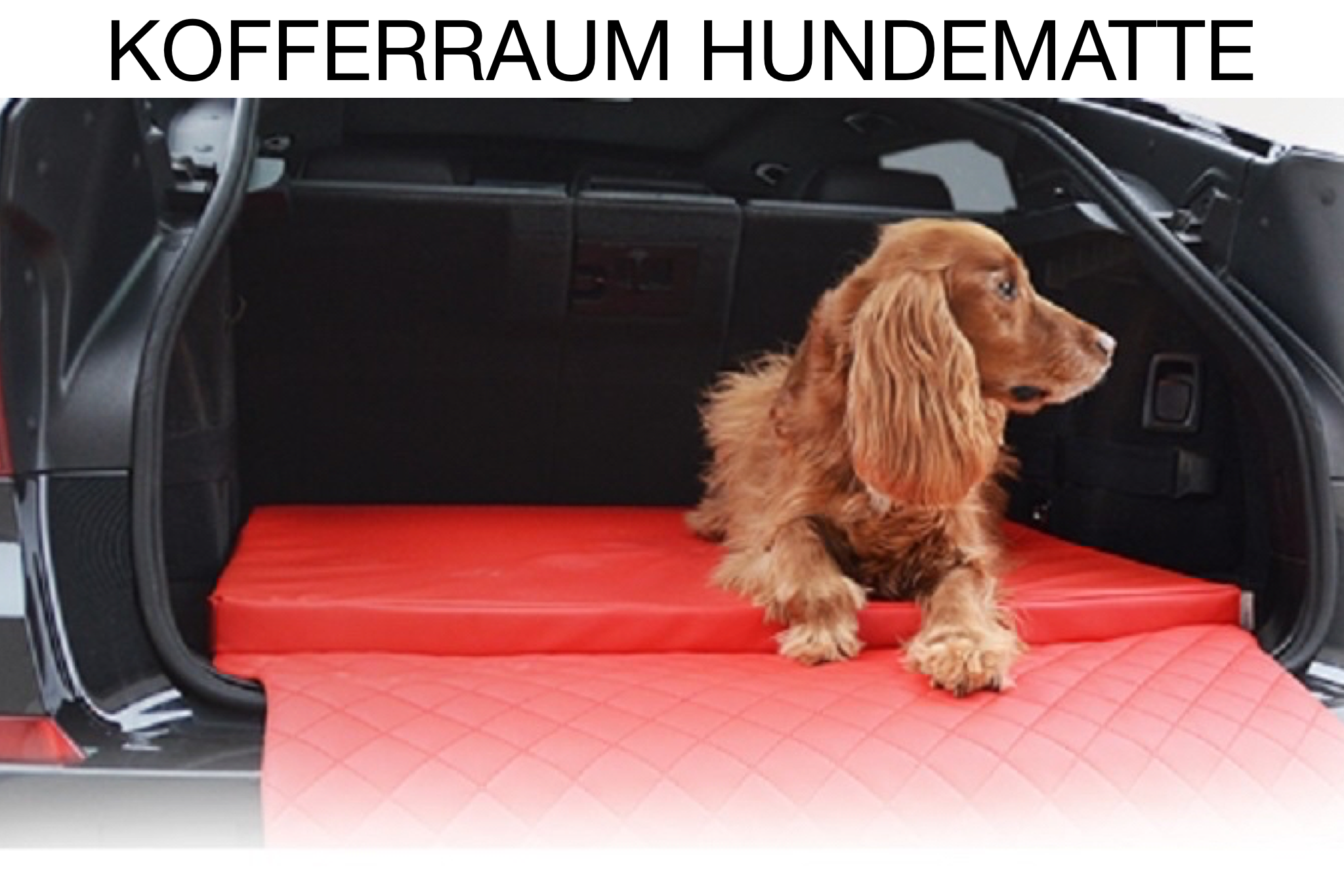 Auto Hunde Matratze Travelmat City