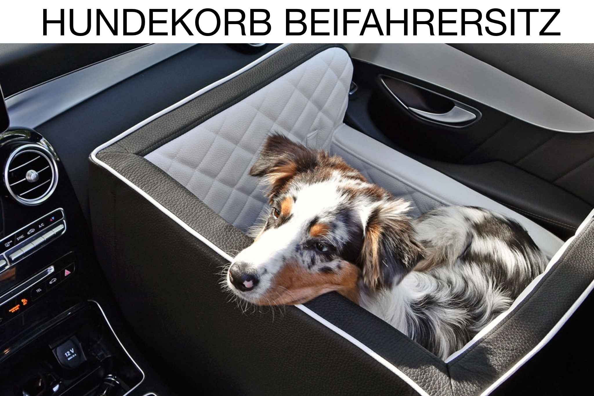 Hund Auto Sitzbezug Vordersitz Kissen Haustier Reise Hund Träger