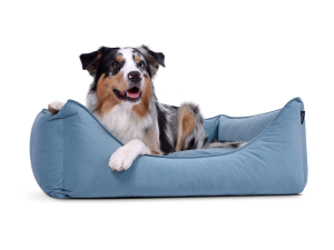 Hundebett Dreamcollection MF-Line
