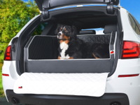 TIERVITAL NATURPRODUKTE - Auto Hundematratze Travelmat City Hunde-Reisebett  110 x 90 cm creme