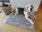 Preview: Lammfell Hundedecke Patchwork 140x60cm silber grau
