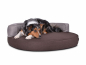 Preview: Atlanta Struqturo Hundebett brauncreme 110x90 cm