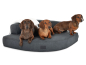 Preview: Hundebett Esquina Select+ 80x80 anthrazit