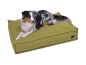 Preview: Hundekissen Flow Struqturo 80x60 cm KIWI