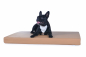 Preview: Hundematte Luvano Kunstleder 80x60 cm hellbraun