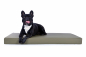 Preview: Hundematte Luvano Kunstleder 80x60 cm dunkelgrün