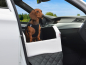 Preview: Auto Vordersitz Hundebett Travelmat VS Plus pure silver Gr M