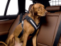 Preview: Allsafe Auto Sicherungsgurt für Hunde 1
