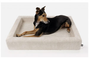 Harko Hundebett cord creme