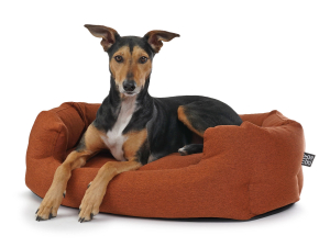 Fancy Hundebett mono rostbraun