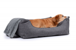 Hundebett Worldcollection Softline 70x50 cm grau