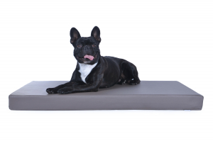 Hundematte Luvano Kunstleder 80x60 cm taupe