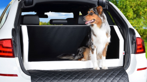 TIERVITAL NATURPRODUKTE - KR Travelmat Plus Hunde Autobett Marke und Modell