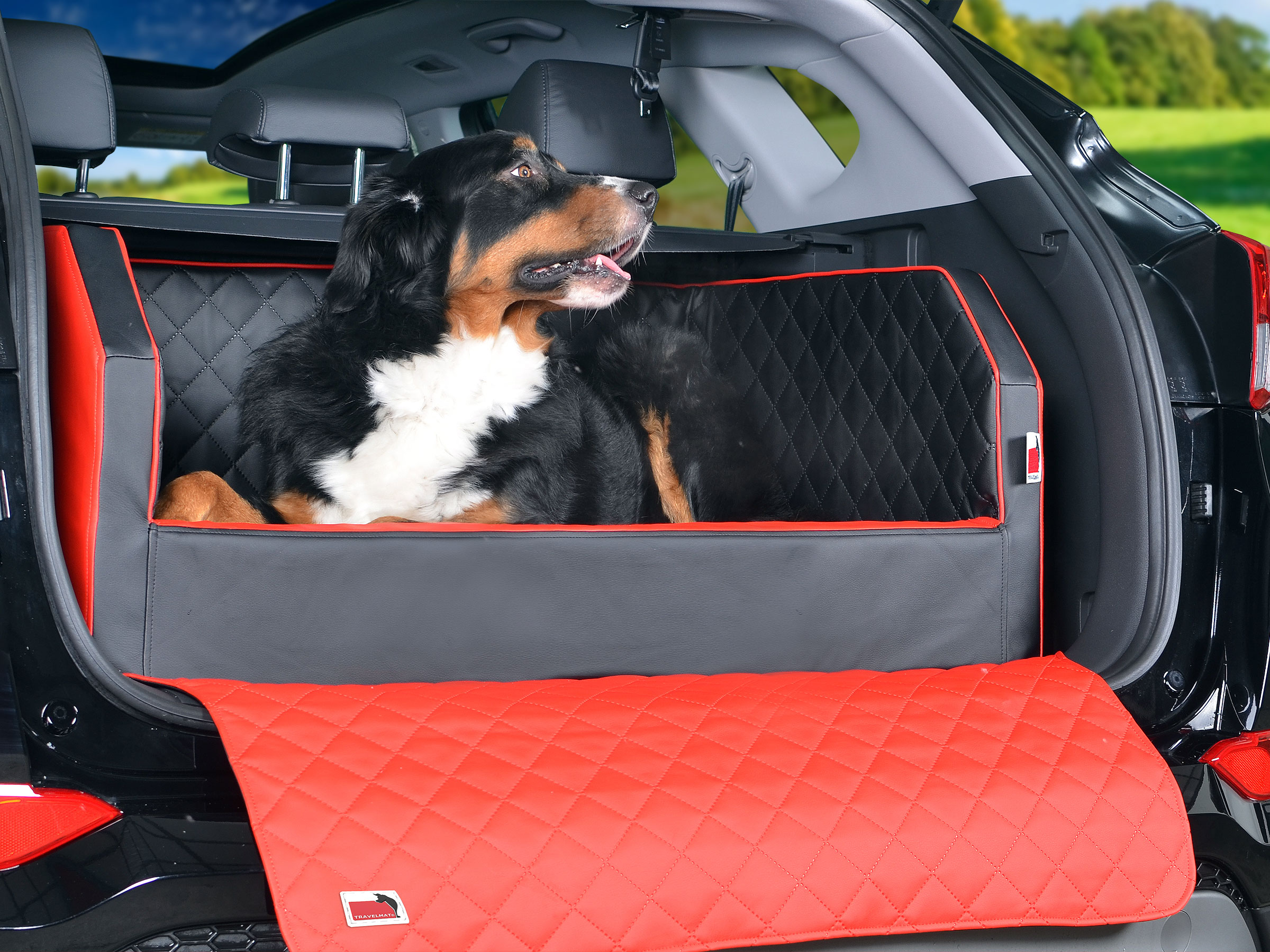 Tesla Model S Kofferraum Hund hagellacarter