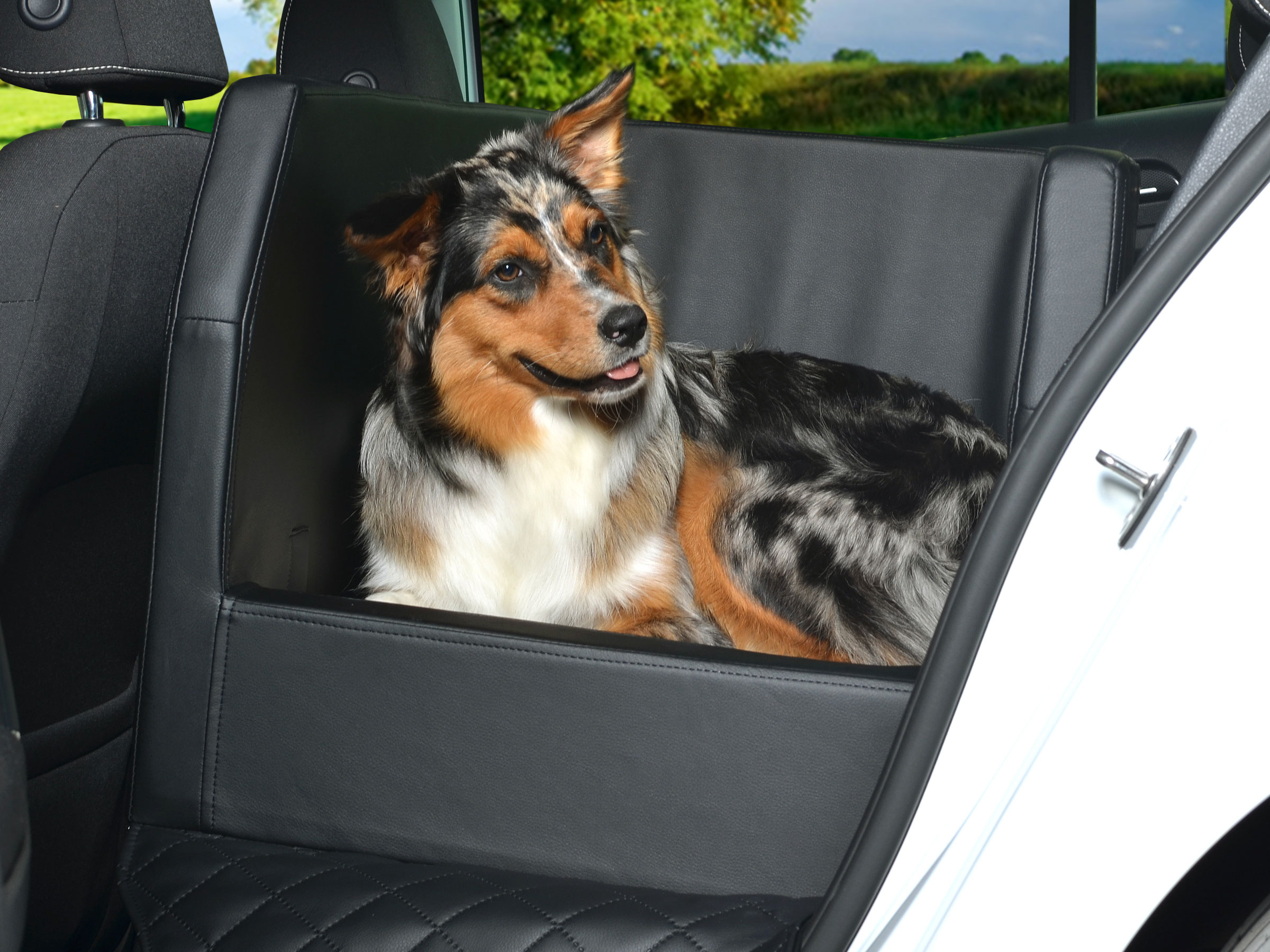 Auto Rücksitz Hundekorb so fährt der Hund im Auto sicher mit