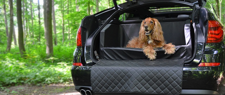 TIERVITAL NATURPRODUKTE - Hunde Autobett Travelmat Plus (BMW)