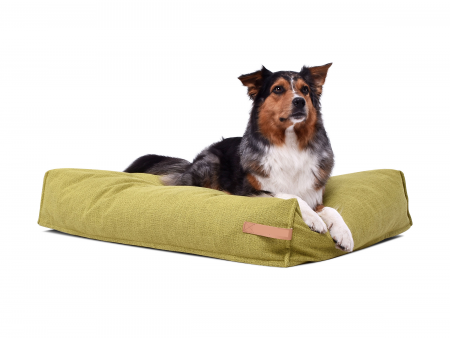 Hundekissen dute struqturo 120 x 80 kiwi