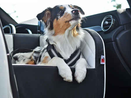 Allsafe Auto Sicherungsgurt für Hunde 8