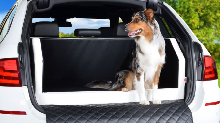 Hunde Autobett Travelmat Plus MERCEDES