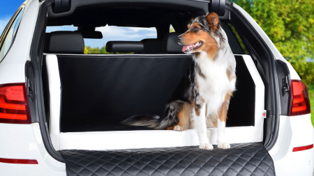 Hunde Autobett Travelmat Basic Kofferraum VW T-Roc